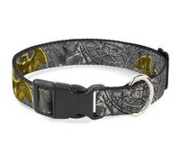 Buckle-Down Pet Collar, Dog Collar Plastic Buckle, Quarter Coins Stacked Silvery