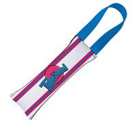 Buckle-Down Pet Tug Toy - Space Jam Tune Squad Logo Stripe White/Red/Blue