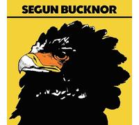 Bucknor Segun - Segun Bucknor