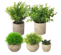 BUCOMTU 5 Pezzi Piante Artificiali, Mini Piante finte Serpentine, Agave Succulente, Aloe Artiglio d'Aquila per Camera da Letto Ufficio Decorazione (Marrone)