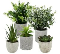 BUCOMTU 5 Pezzi Piante Artificiali, Mini Piante finte Serpentine, Agave Succulente, Aloe Artiglio d'Aquila per Camera da Letto Ufficio Decorazione (Colore naturale)