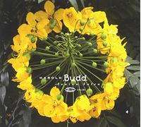 Budd Harold - Avalon Sutra (2 CD)