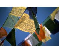 BUDDHAFIGUREN Bandiere di preghiera buddista XL 8,50 metri