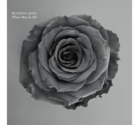 Budding Rose - Where Were Ye All?