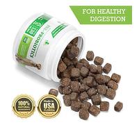 Buddy & max probiotici per cani da - enzimi digestivi - Diarrhea, stomaco, vomito, gas, peso supporto, Allergy Relief - contiene Prebiotics - Cane mastica probiotici supplemento - 130, chew-1479, ProBuddy&Max-1481