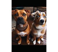 Buddy & the Baby: Paws of Friendship: Book 1