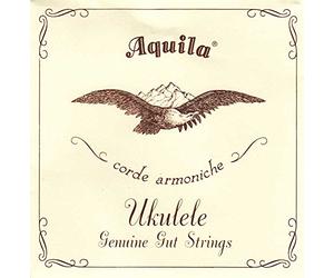 BUDELLO NATURALE - BANJO UKULELE GCEA cod. 43U