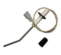 Buderus Elettrodo di Ionizzazione Con Cavo U. Spina, U112 U114 U122 U124, Herst No. 7746700133