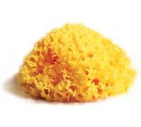 budetta farma Spugna naturale mediterranea laboratori atenei 16