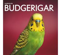 Budgerigar 2026 Calendar: A Colorful Year with Beautiful Budgies - Month-by-Month Bird Photography