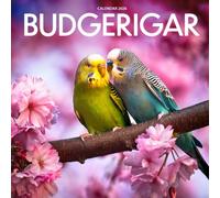 Budgerigar 2026 Calendar: Colorful Companions and Feathered Joy