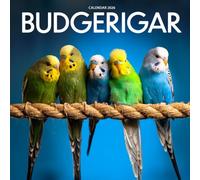 Budgerigar 2026 Calendar: Colorful Parakeets and Charming Companions