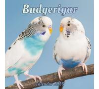 Budgerigar Calendar 2026: 12 month Organizer Jan 2026 to Dec 2026