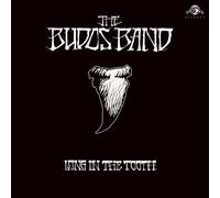 Budos Band - Long In The Tooth