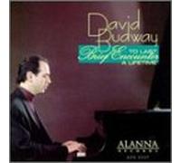 Budway, David - Brief Encounter