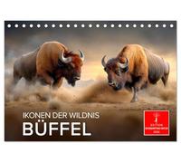 Büffel - Ikonen der Wildnis (Tischkalender 2026 DIN A5 quer), CALVENDO Monatskalender: Eindrucksvoll, mächtig und zugleich friedlich - der Büffel.