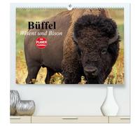 Büffel. Wisent und Bison (hochwertiger Premium Wandkalender 2026 DIN A2 quer), Kunstdruck in Hochglanz: Die Schönheit der kraftvollen Kolosse im Zottelfell