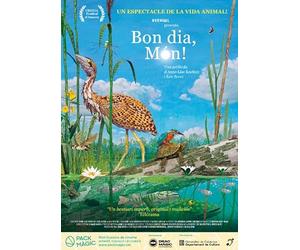 Buenos Dias, Mundo! Dvd