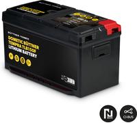 Büttner dometic tempra tlb150f batteria al litio 12 v / 150 ah con riscaldatore integrato