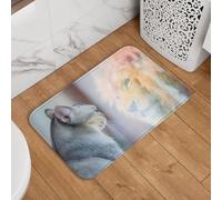 Buewutiry Zerbino per porta d'ingresso, per interni ed esterni, 40,6 x 61 cm, lavabile, sottile, il gatto si guarda allo specchio, adatto sotto la porta, tappeto da bagno per bagno, cucina e pavimento