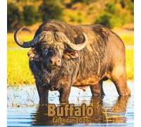 Buffalo Calendar 2026: 14-Month Organizer from Nov 2025 to Dec 2026 | Perfect for Home, Office, School & Family Scheduling, For Men , Women , Girls , Boys