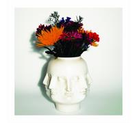 Buffalo Killers Heavy Reverie (Vinyl LP) 12" Album