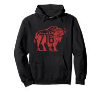Buffalo New York 716 codice Area Orgoglio Felpa con Cappuccio