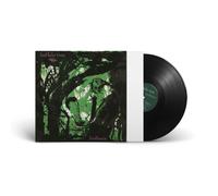 Buffalo Tom Birdbrain (Vinyl LP) 12" Album