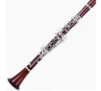 Buffet Clarinetto Per Esame Professionale Per Principianti In Si Bemolle Clarinetto In Palissandro Placcato Argento(A)