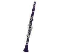 Buffet Clarinetto Sib Clarinetto Professionale Per Esibizioni In Concerto Clarinetto A 17 Tasti Con Kit Per Clarinetto Ance Accessori(Purple)