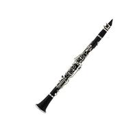 Buffet Clarinetto Strumento Principianti Livello Esame Scuola Suonare Clarinetto Si Bemolle