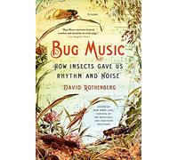 Bug Music: How Insects Gave Us Rhythm and Noise