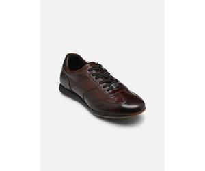 Bugatti - Dix Marrone - Sneakers 41 Marrone