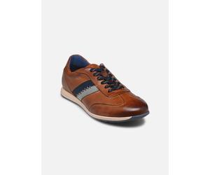 Bugatti - Vesuvio Marrone - Sneakers 42 Marrone