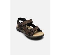 Bugatti - Viaggio Marrone - Sandali e scarpe aperte 45 Marrone