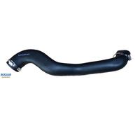 BUGIAD 82161 Flessibile aria alimentazione per FORD