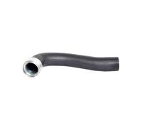 BUGIAD 88562 Flessibile aria alimentazione per NISSAN,OPEL,RENAULT