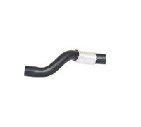 BUGIAD 88752 Flessibile olio per CITROËN,PEUGEOT