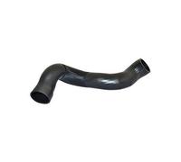BUGIAD 88814 Flessibile aria alimentazione per VOLVO XC60 (156) V60 (155, 157)