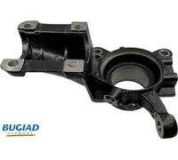BUGIAD BSP25289 Fusello per FIAT DUCATO Pianale piatto/Telaio (244) Anteriore Sx