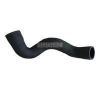 BUGIAD Tubo di Aspirazione per Audi A4 Avant 8D5 B5 1.9 Tdi A6 4A C4 2.0 2.5 VW