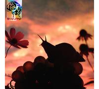 Bugland (Vinyl) No Joy