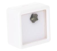BUGUUYO 3 Pezzi Esemplare Fossile Ragazzo Arredamento Per Esemplare Didattico Minerale Strumento Di Insegnamento Ornamento Da Scrivania Paleontologia Campione Decorazione Antico