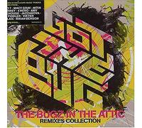 Bugz in the Attic - Got the Bug