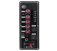 Buhdjfnke Amplificatore per Altoparlanti 2X10W Supporto Bluetooth AUX U-Disk Altoparlante da 5-8 Pollici Home Theater Fai-da-Te