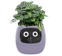 Buhdjfnke Ivy Smart Planter, Piccolo Vaso da Fiori per Interni Ricaricabile Tramite USB per La Decorazione di Interni Che Rende Facile e Divertente La Raccolta delle Piante Viola