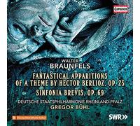 Buhl Gregor Dir - Fantastiche Erscheinungen Uber Ein Thema Von Hector Berlioz Op.25