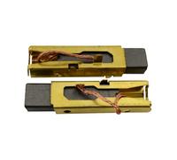 Buildalot Spazzole di carbone per Festool 496268