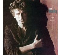 Building the Perfect Beast