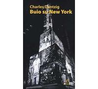 Buio su New York. Ediz. illustrata